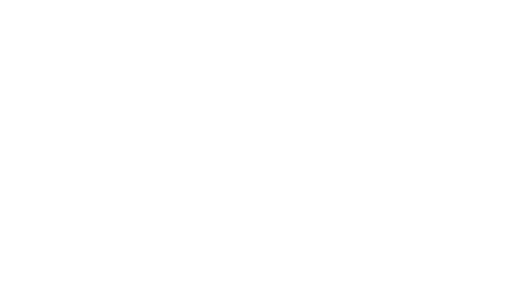 RAM Risk Group logo